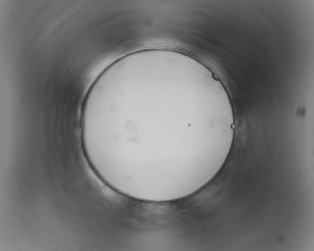 X0000112181103200909041224