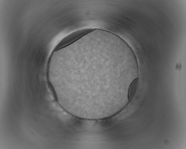X0000112181104200909041224