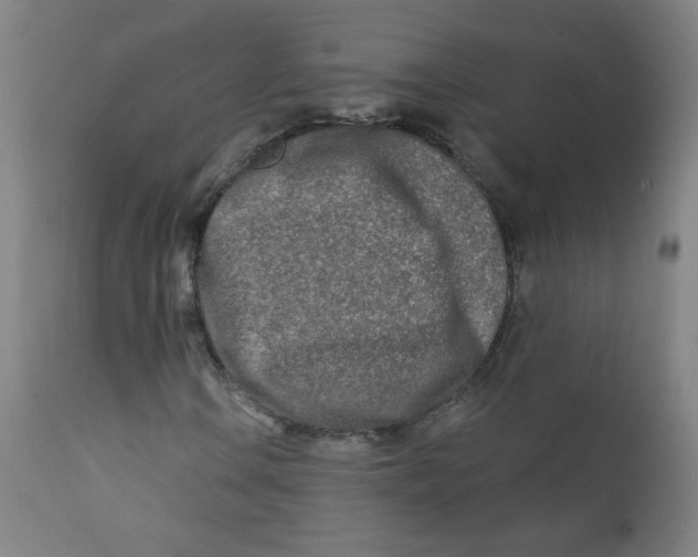 X0000112181106200909041223