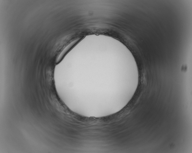 X0000112181108200909041223