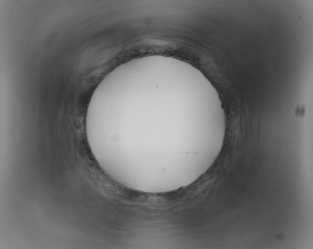 X0000112181109200909041223