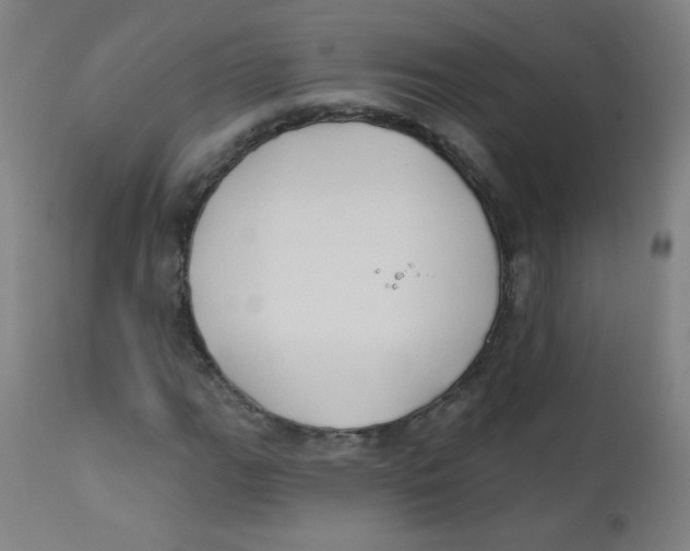 X0000112181111200909041223