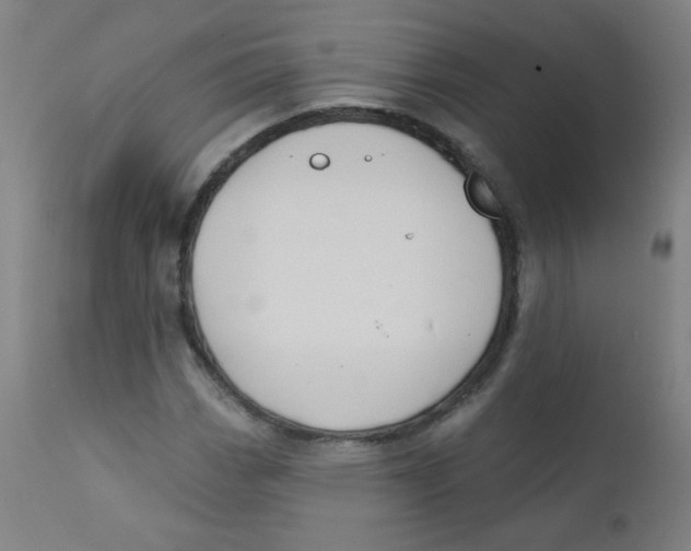 X0000112181113200909041223