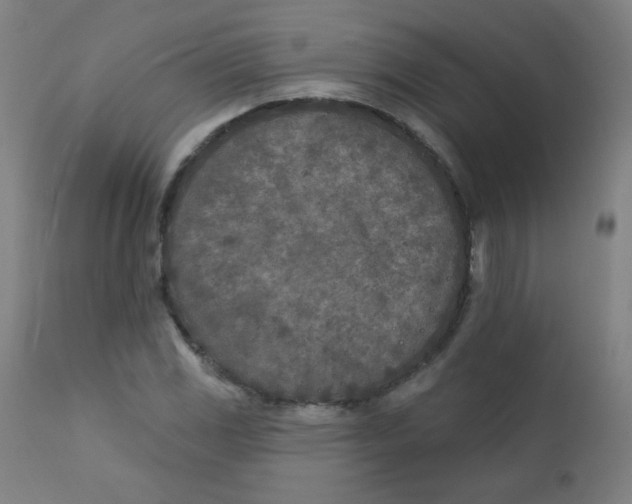 X0000112181117200909041223
