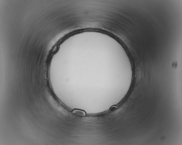 X0000112181118200909041223