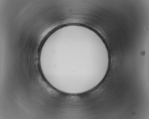 X0000112181119200909041223