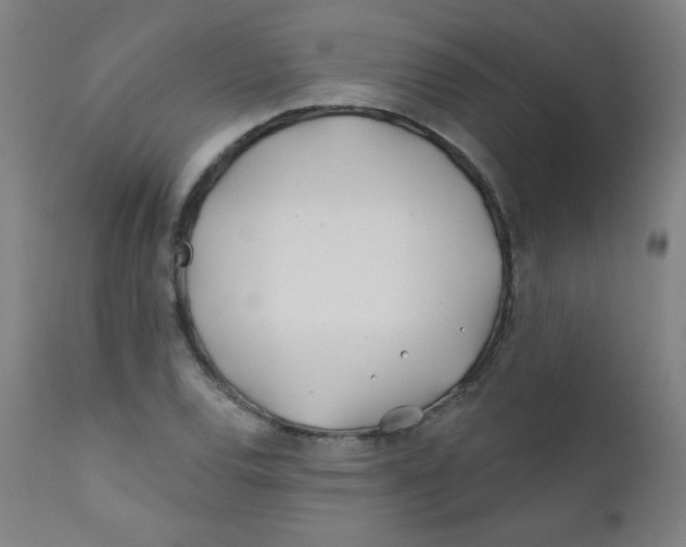 X0000112181120200909041223