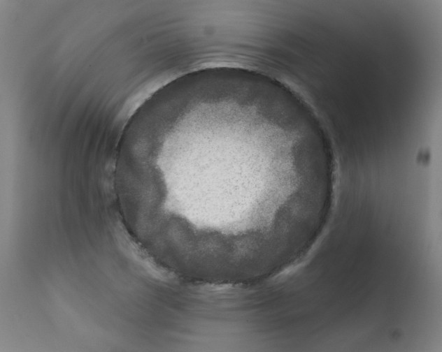 X0000112181121200909041223
