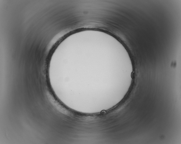 X0000112181122200909041223