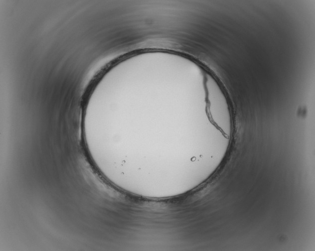 X0000112181123200909041223