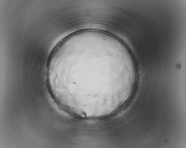 X0000112181125200909041223
