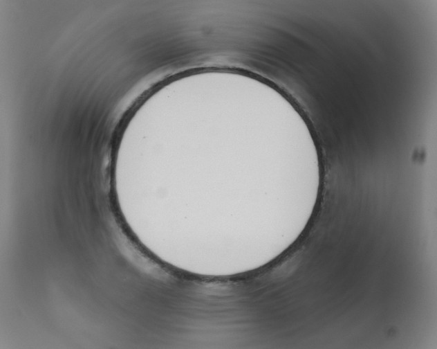 X0000112181126200909041223