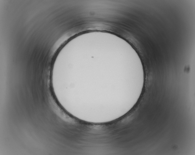X0000112181130200909041223