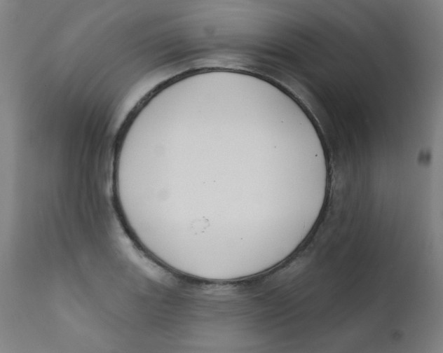 X0000112181131200909041223