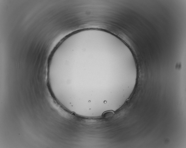 X0000112181132200909041223