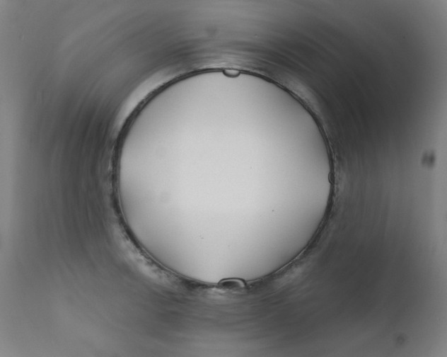 X0000112181138200909041224