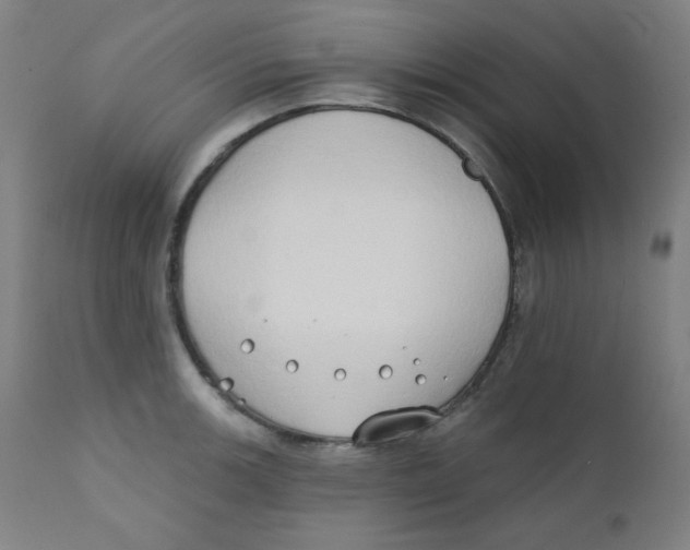 X0000112181139200909041224