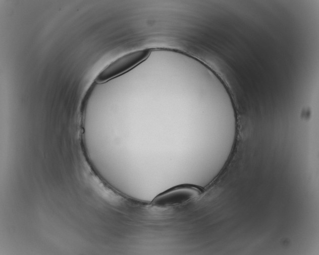 X0000112181140200909041224