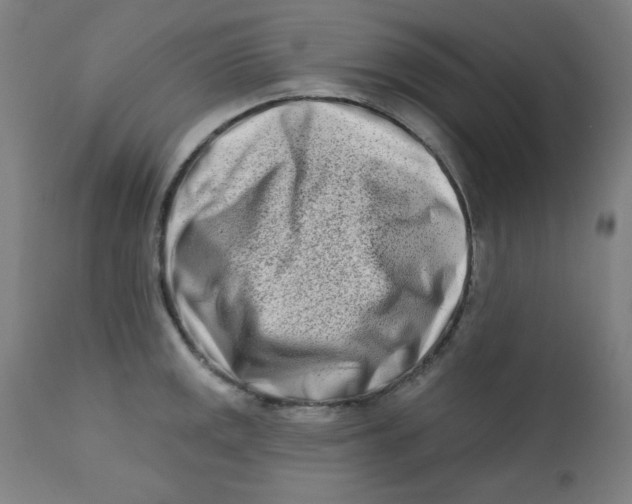 X0000112181141200909041224