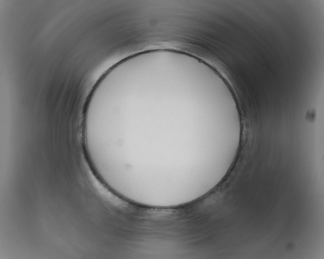 X0000112181143200909041224