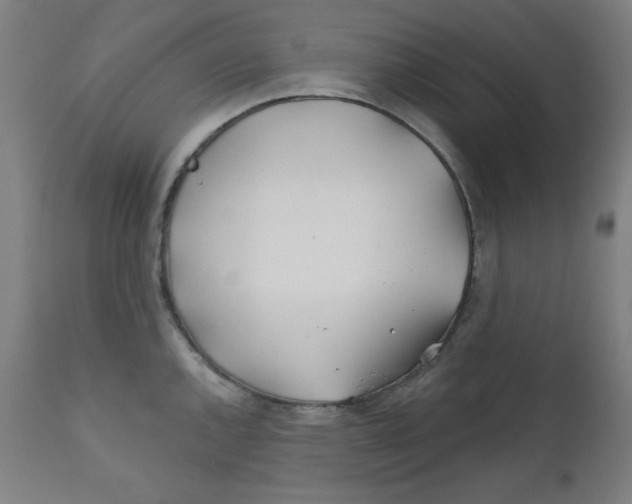 X0000112181144200909041224