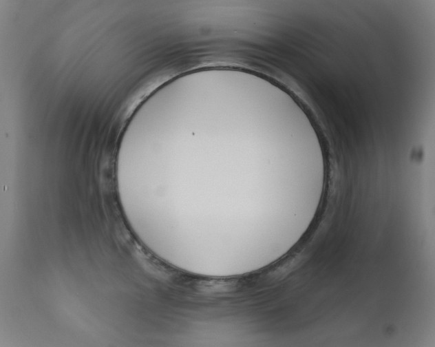 X0000112181145200909041224