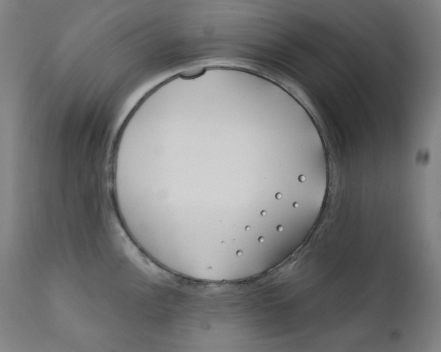 X0000112181148200909041224