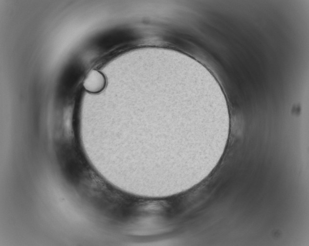 X0000112181150200909041224