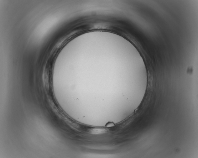 X0000112181151200909041224