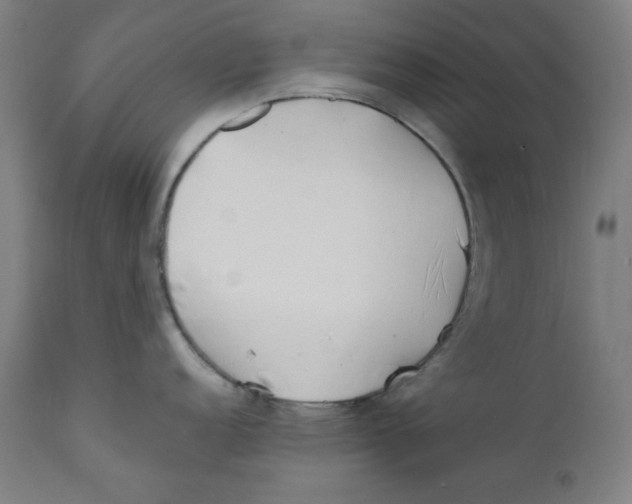 X0000112181152200909041224
