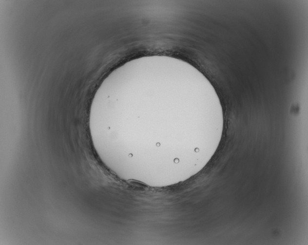X0000112181153200909041223
