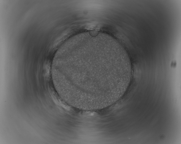 X0000112181154200909041223