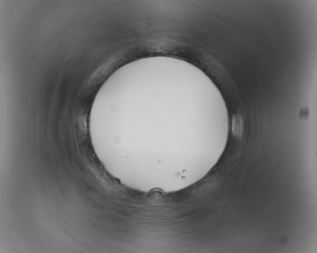X0000112181155200909041223