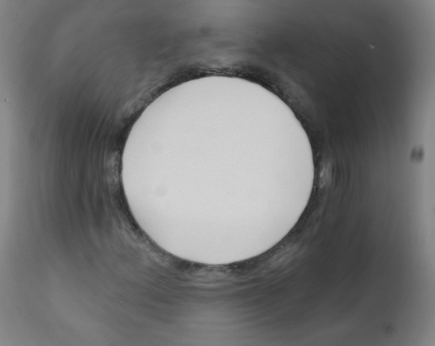 X0000112181156200909041223