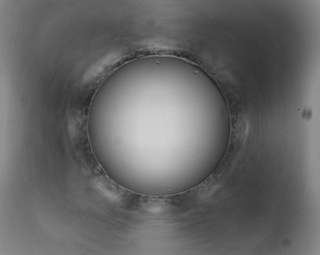 X0000112181157200909041223