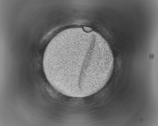 X0000112181158200909041223