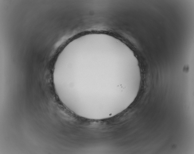 X0000112181160200909041223