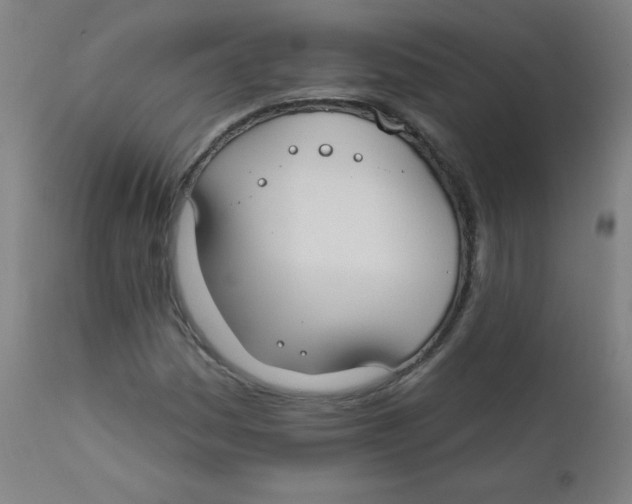 X0000112181161200909041223