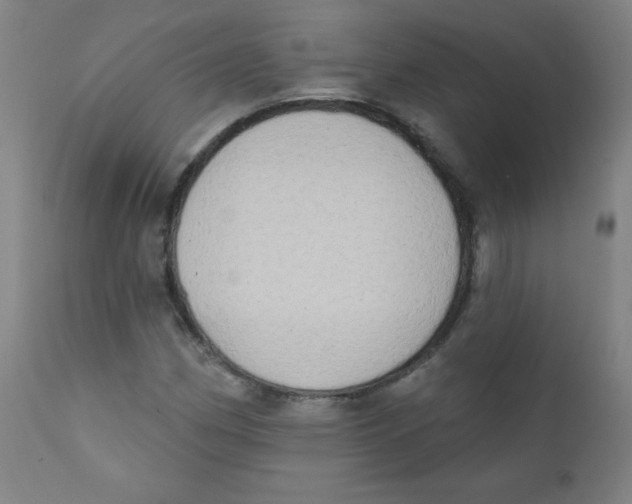 X0000112181162200909041223