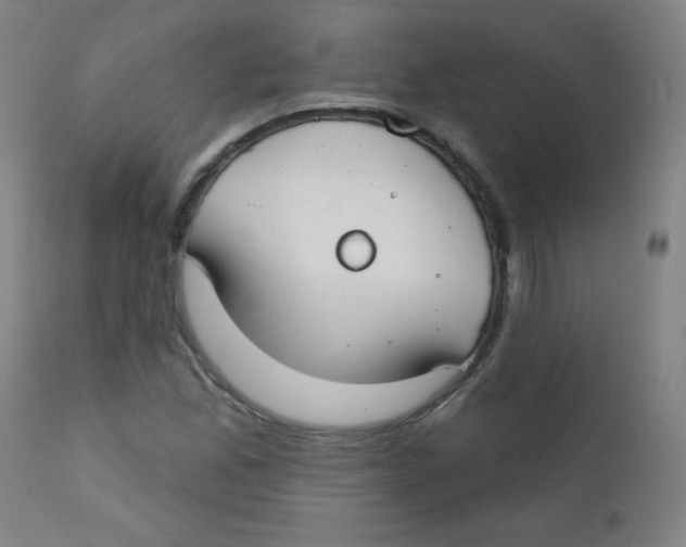 X0000112181165200909041223