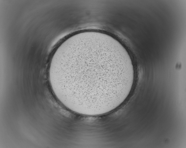 X0000112181166200909041223