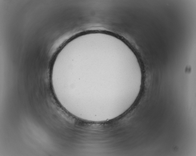 X0000112181167200909041223