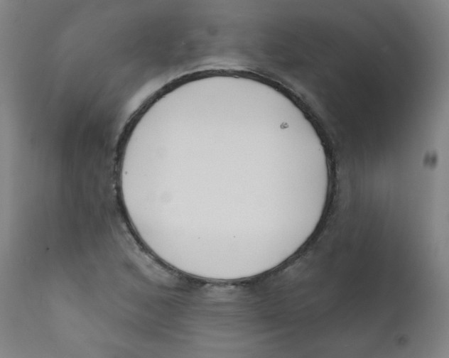 X0000112181168200909041223