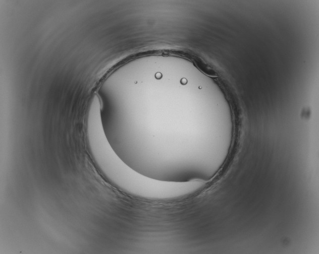X0000112181169200909041223