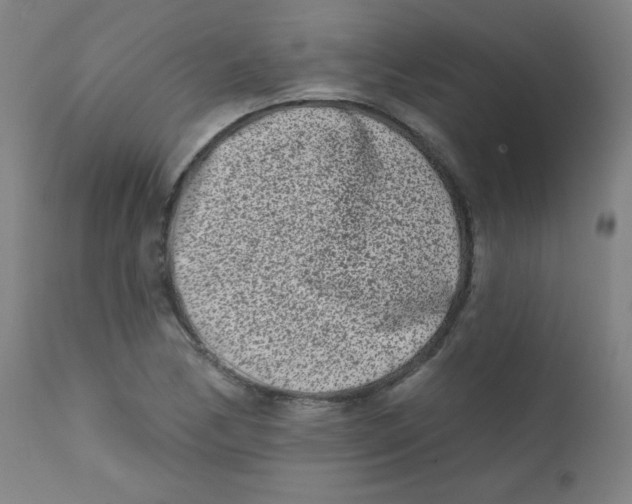 X0000112181170200909041223