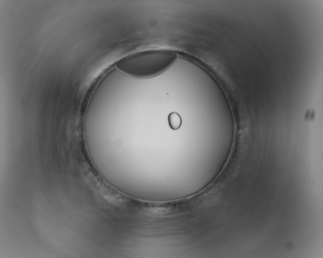 X0000112181173200909041223