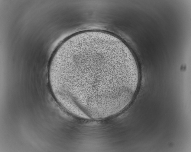 X0000112181174200909041223
