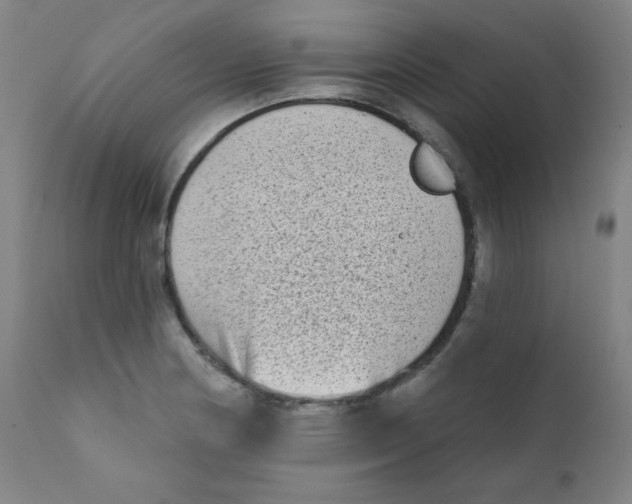 X0000112181178200909041223