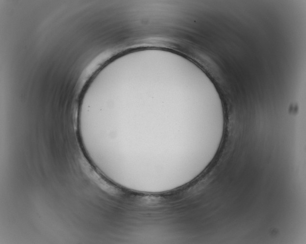 X0000112181180200909041223
