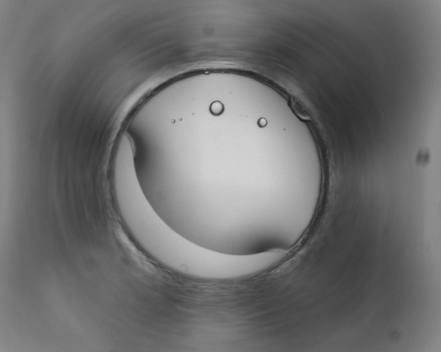 X0000112181181200909041223